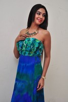Angana Roy Gallery